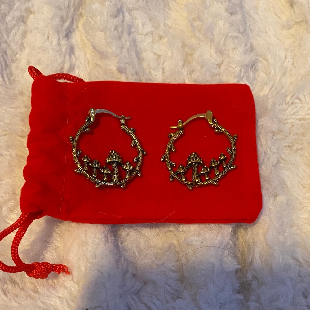 Gold Hoop Earrings with Red Pouch